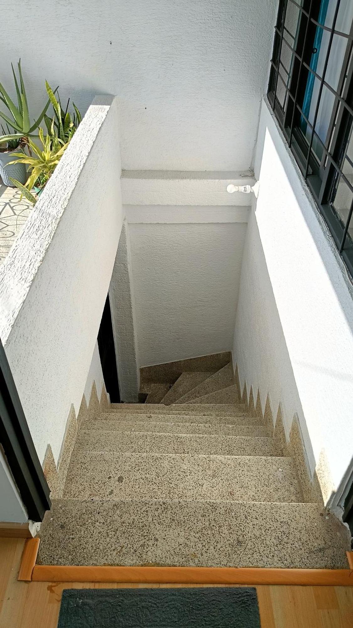 Local En Tropical Apartment