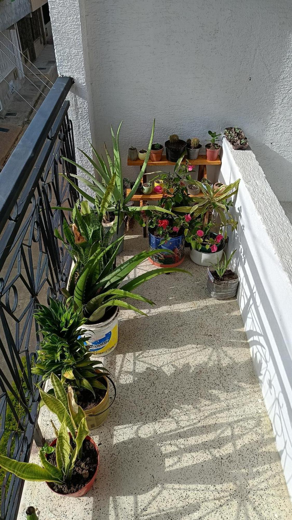 Local En Tropical Apartment